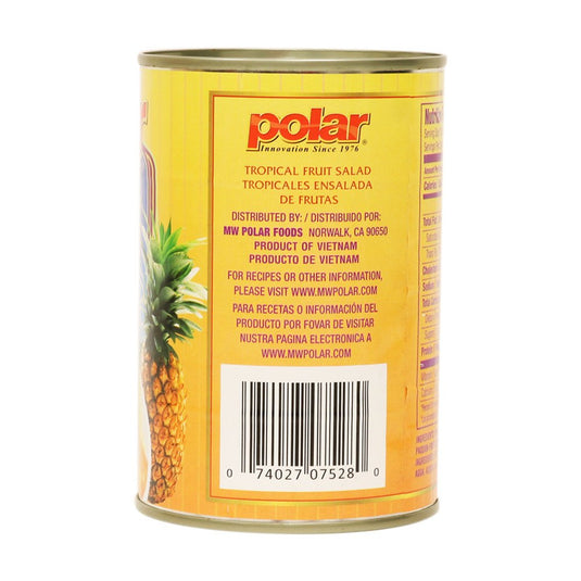 Tropical Fruit Salad in Syrup and Juice 15 oz (Pack of 6 or 12) - Polar