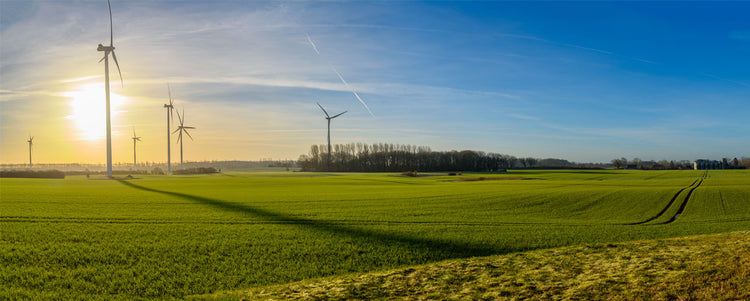 Sustainability at MW Polar