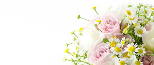 Happy Mother's Day Collection - Polar