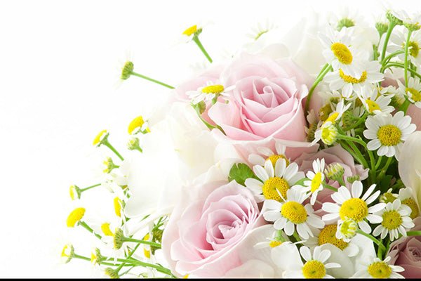 Polar Mother's Day Collection - Polar