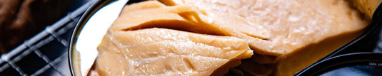 Salmon (2) - Polar