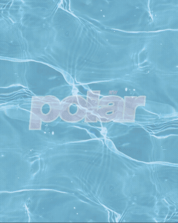 New to Store - Polar