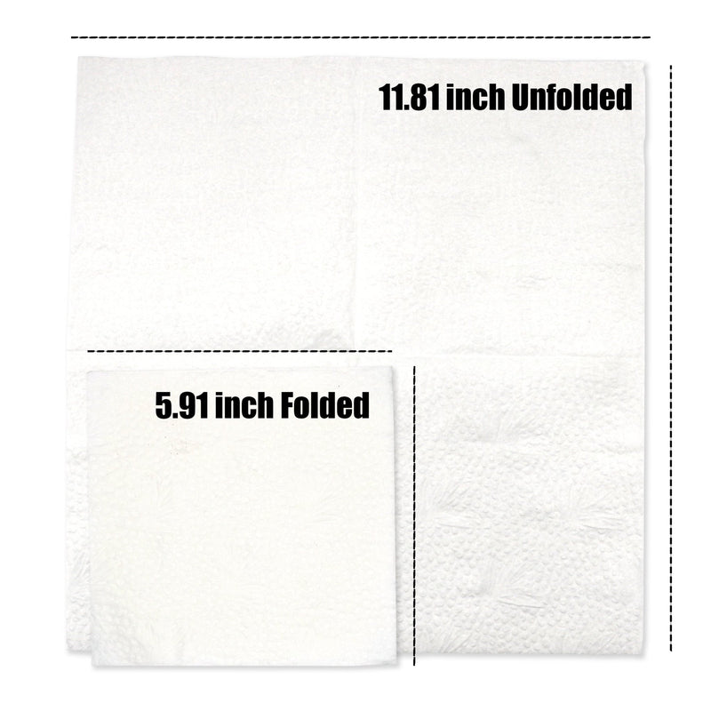 Load image into Gallery viewer, Galaxy Green Bamboo Napkins - 2-Ply - 100 count - 12 Pack - Polar
