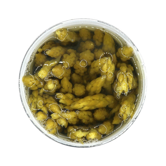 Green Asparagus Whole Spears in Brine - 15 oz - 12 Pack - Polar